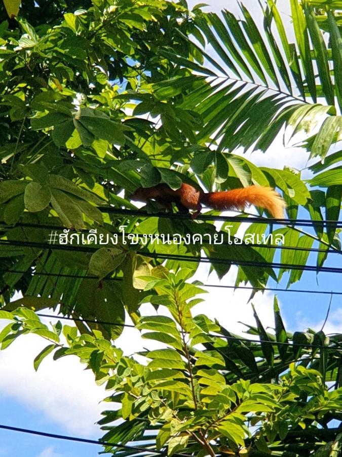 ฮักเคียงโขง Hug Khieng Khong Nongkhai Hostel Nong Khai Buitenkant foto