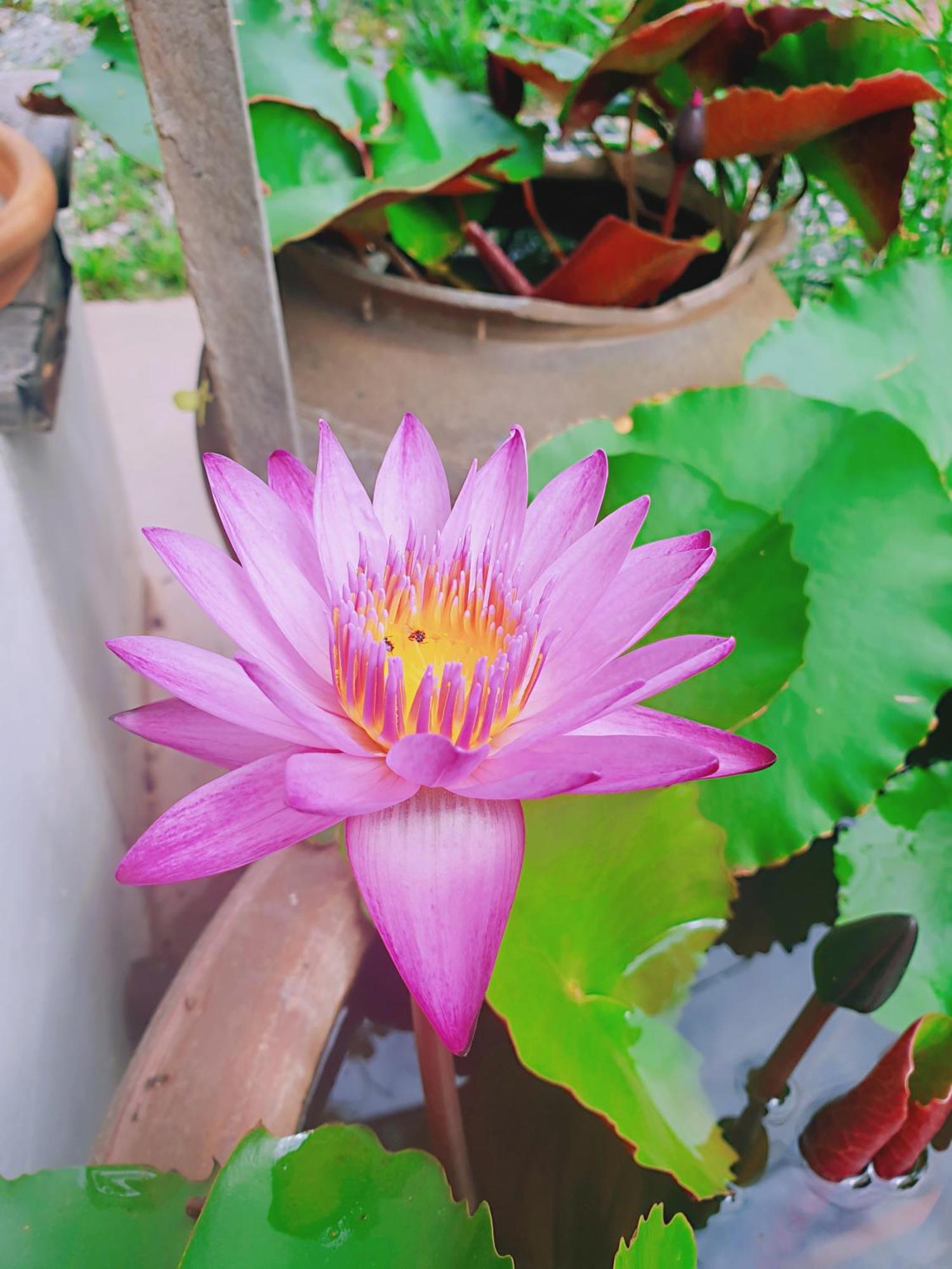 ฮักเคียงโขง Hug Khieng Khong Nongkhai Hostel Nong Khai Kamer foto